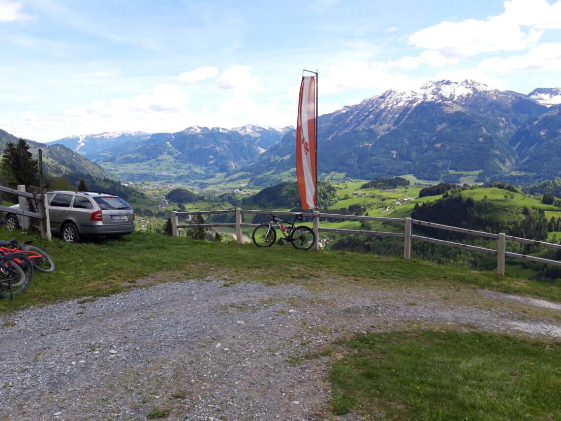 Hochleitenalm in Goldegg